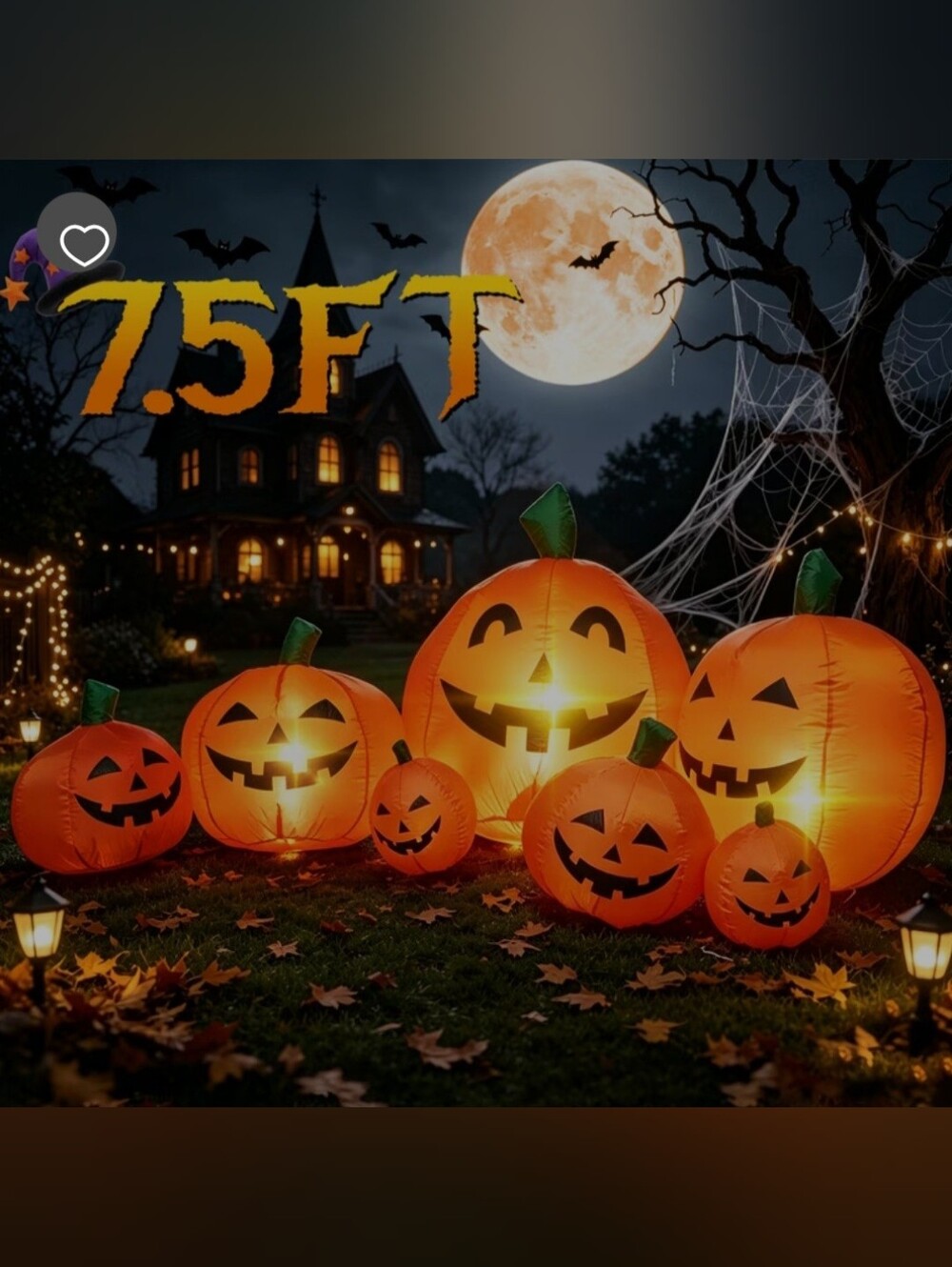 Halloween Section Kids & Adults